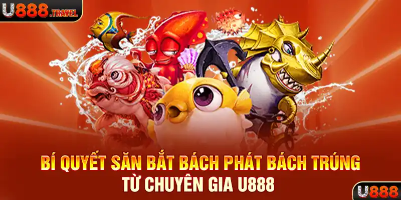 Bí quyết săn bắt bách phát bách trúng từ chuyên gia U888 