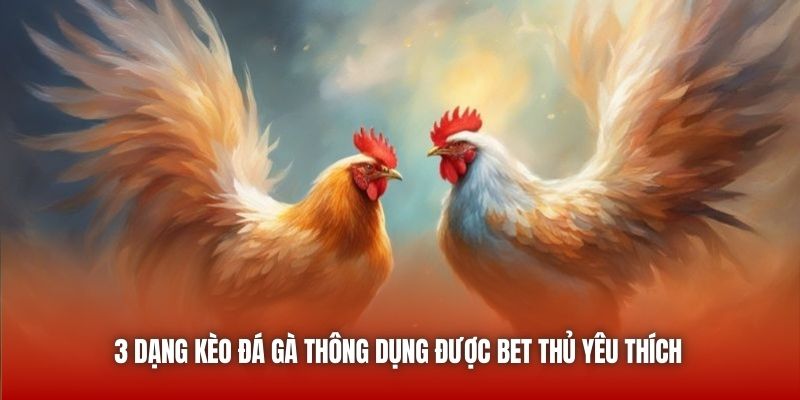 3 dạng kèo đá gà thông dụng được bet thủ yêu thích